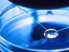 盘点试管移植前后吃补佳乐的副作用介绍，会导致乳房涨痛