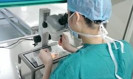 2026泰国试管婴儿做一次多少钱？