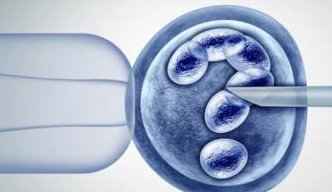 湘雅二医院试管婴儿医生推荐施晓波／陈建林移植技术最佳