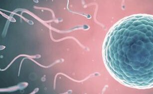 广州试管价格，广州三代试管婴儿医院