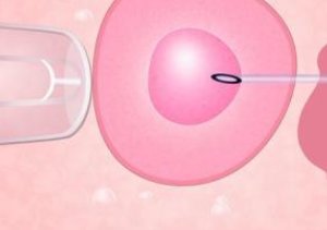 2026年在秦皇岛去金门做试管的成功率高吗？一般可以达到50%？