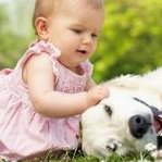 漳州三代试管婴儿医院排行，哪家医院更受欢迎？