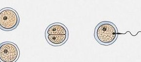 幼稚子宫在济南试管怀孕助孕医院排名，附济南三代试管医院推荐