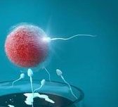 2026年幼稚子宫可以在保定市妇幼做三代试管吗？大概要花费多少钱？