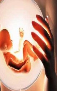 2026年泰国第三代试管婴儿技术费用对技术学生分析