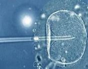 邯郸三代试管婴儿怀孕辅助机构的成功率如何？三代试管婴儿成功率参考