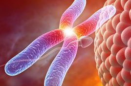 2026年郑大一附院试管助孕费用详解，助孕生子究竟花了多少钱？